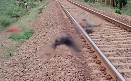 CG में दर्दनाक हादसा : ट्रेन की चपेट में आकर दो मजदूरों की मौत, थककर कर रहे थे आराम, दो की हालत गंभीर