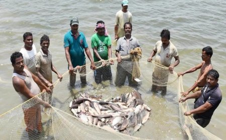 CG : छत्तीसगढ़ में 16 जून से 15 अगस्त तक मछली पकड़ने पर रोक, उल्लंघन करने पर मिलेगी सजा