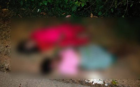 CG : तेज रफ्तार का कहर — 18 सवारियों से भरी गाड़ी पलटी, 2 की मौके पर मौत, 5 गंभीर