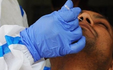 छत्तीसगढ़ में फिर बढ़े कोरोना के मरीज : एक्टिव केस की संख्या पहुंची 50,बिलासपुर, रायपुर और दुर्ग में मिले नए मरीज