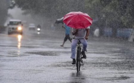 Weather Update : छत्तीसगढ़ में एक बार फिर मानसून सक्रिय, राजधानी समेत कई जिलों में झमाझम बारिश के आसार, जानें IMD का अलर्ट
