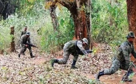 छत्तीसगढ़ के सुकमा और आंध्र सीमा पर नक्सली मुठभेड़, केंद्रीय कमेटी मेंबर समेत तीन माओवादी ढेर