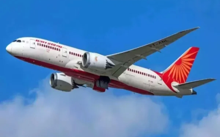 एअर इंडिया विमान से टकराया पक्षी, तिरुवनंतपुरम में सुरक्षित Landing के बाद कैंसिल हुई रिटर्न फ्लाइट