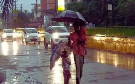 छत्तीसगढ़ में मानसून हुआ एक्टिव ,33 जिलों में यलो अलर्ट, अंधड़ और वज्रपात की भी चेतावनी