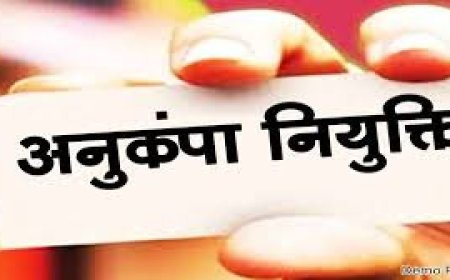 शहीद के परिजनों को किसी भी विभाग में मिलेगी अनुकंपा नियुक्ति, राज्य शासन ने जारी की अधिसूचना