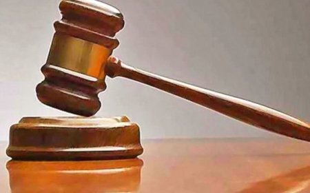 छत्तीसगढ़ के 5 संभागों में यातायात के चालानी मामलों की सुनवाई के लिए शुरू होंगे वर्चुअल कोर्ट, उच्च न्यायालय ने लिया निर्णय