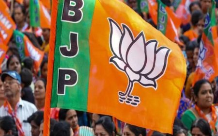 भाजपा के विधायकों और लोकसभा के सांसदों का प्रशिक्षण शिविर मैनपाट में ,जुलाई में होगा कार्यक्रम