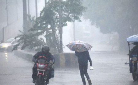 छत्तीसगढ़ में मानसून की रफ़्तार तेज :IMD ने प्रदेश में आज से भारी बारिश का दिया अलर्ट