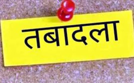 BREAKING : 9 तहसीलदारों का तबादला, कलेक्टर ने जारी किया आदेश