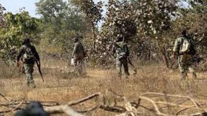 Kanker: कांकेर में सुरक्षाकर्मियों के साथ मुठभेड़ में एक महिला नक्सली ढेर; कई के मारे जाने की खबर,हथियार भी बरामद