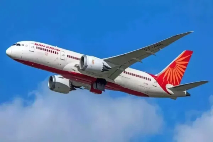 एअर इंडिया विमान से टकराया पक्षी, तिरुवनंतपुरम में सुरक्षित Landing के बाद कैंसिल हुई रिटर्न फ्लाइट