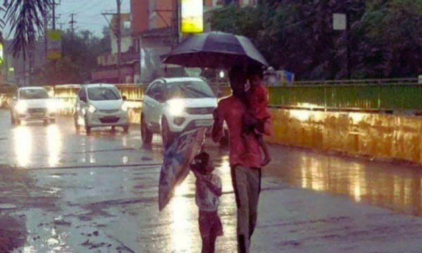 छत्तीसगढ़ में मानसून हुआ एक्टिव ,33 जिलों में यलो अलर्ट, अंधड़ और वज्रपात की भी चेतावनी