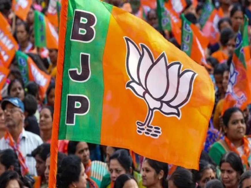 भाजपा के विधायकों और लोकसभा के सांसदों का प्रशिक्षण शिविर मैनपाट में ,जुलाई में होगा कार्यक्रम