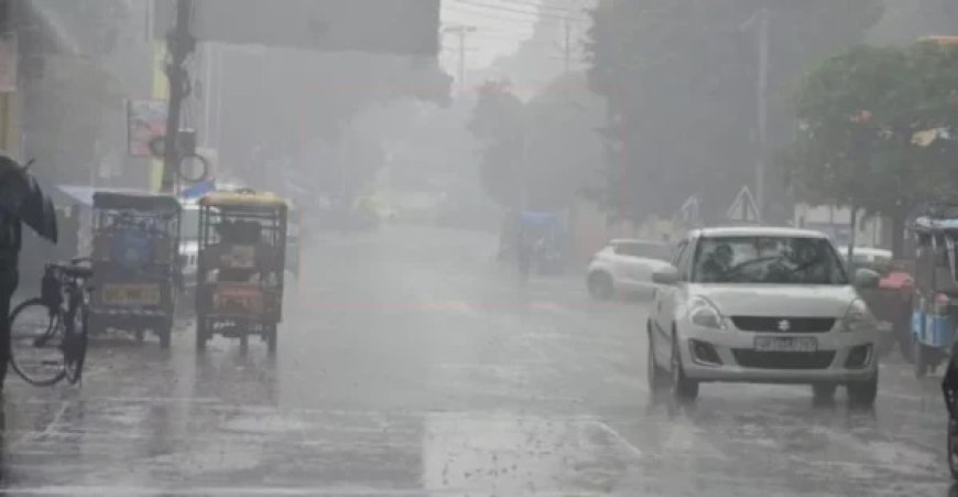 मानसूनी बारिश से छत्तीसगढ़ तरबतर: मौसम विभाग ने प्रदेश के सभी जिलों के लिए जारी किया यलो अलर्ट