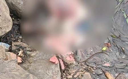 CG BREAKING : शिवनाथ नदी किनारे मिला नवजात का शव, इलाके में फैली सनसनी
