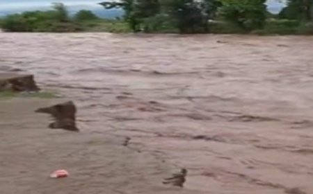 छत्तीसगढ़ में मानसूनी बारिश बाढ़ में हो रही तब्दील,मौसम विभाग ने 6 जिलों में जारी किया फ्लैश फ्लड का अलर्ट