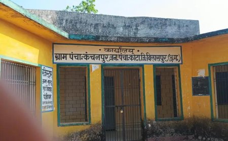 रतनपुर भाजपा मंडल के कोषाध्यक्ष का।कंचनपुर की ज़मीन में करोड़ों का घोटाला?