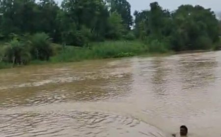 उफनती नदी पार कर 40 गांवों में बहाल की बिजली: भानुप्रतापपुर में विद्युत विभाग की टीम ने दिखाया साहस