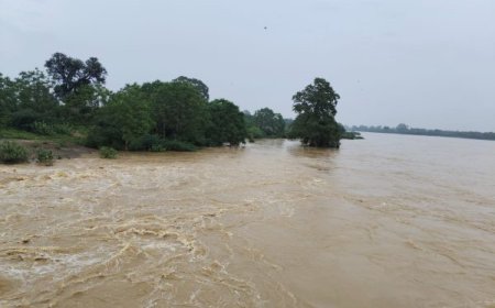 लगातार हो रही बारिश से अंबागढ़ चौकी में बाढ़ की स्थिति, नदी किनारे के घरों को कराया गया खाली