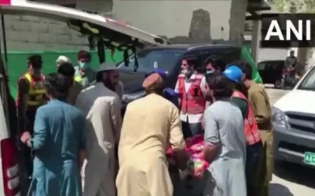 पाकिस्तान में बस रोककर 9 यात्रियों की गोली मारकर हत्या, पहचान पत्र देखकर पंजाबियों को मारा