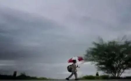 छत्तीसगढ़ में अगले 5 दिन बारिश से मिलेगी राहत,बारिश थमने से बढ़ने लगी उमस और गर्मी