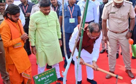 मुख्यमंत्री विष्णु देव साय ने नवीन विधानसभा परिसर में किया पौधरोपण