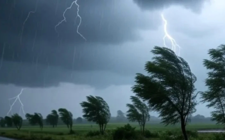 छत्तीसगढ़ के कई जिलों में आज बिजली गिरने के साथ जोरदार बारिश की संभावना, मौसम विभाग का अलर्ट