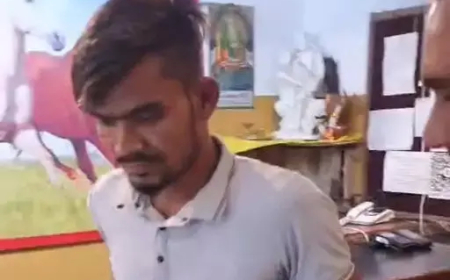 कोरबा: होटल में ट्रेनी डॉक्टर से दुष्कर्म की कोशिश, सफाईकर्मी गिरफ्तार