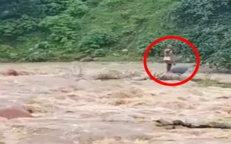 सरगुजा में घुनघुट्टा नदी में अचानक आई बाढ़, मछली पकड़ने गए बुजुर्ग की ग्रामीणों ने बचाई जान