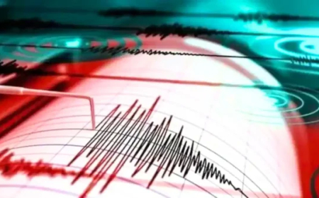 अलास्का में कांपी धरती, आया 6.2 तीव्रता का आया भूकंप ,ताजिकिस्तान में भी लगे झटके