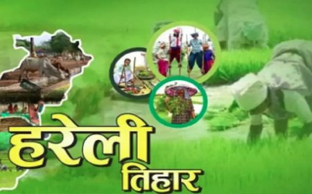छत्तीसगढ़ की सांस्कृतिक पहचान है हरेली त्योहार – जानिए क्यों विशेष है यह त्यौहार