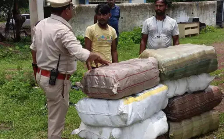 गांजे की बड़ी खेप पकड़ी गई : राजनांदगांव पुलिस ने दुर्ग रोड में ट्रक से बरामद किया 21 लाख का गांजा