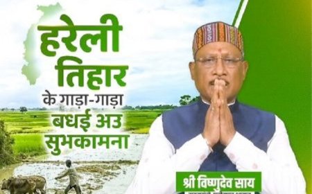 छत्तीसगढ़ के पारंपरिक लोकपर्व हरेली पर CM विष्णु देव साय ने दी शुभकामनाएं, वृक्षारोपण का किया आह्वान