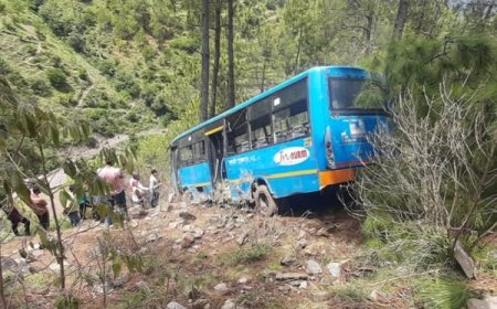 मंडी में दर्दनाक हादसा : HRTC की बस गहरी खाई में गिरी, 20 से अधिक यात्री घायल