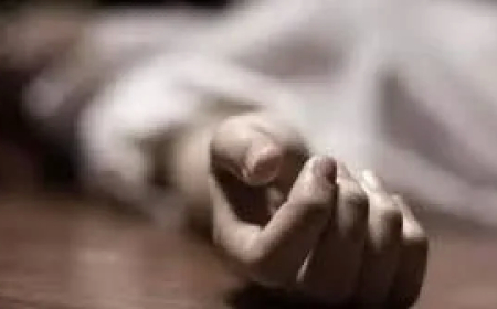 CG Accident : बर्थडे पार्टी से लौट रहे युवकों को ट्रक ने मारी टक्कर, तीनों की मौके पर ही हो गई मौत