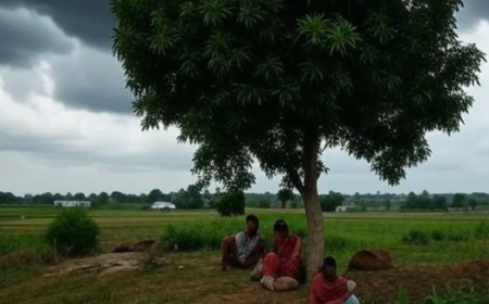 छत्तीसगढ़ में मानसून की रफ़्तार पड़ी धीमी, 31 जुलाई के बाद होगी बारिश में कमी, फिर बदलेगा मौसम