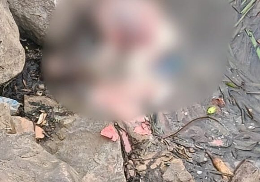 CG BREAKING : शिवनाथ नदी किनारे मिला नवजात का शव, इलाके में फैली सनसनी