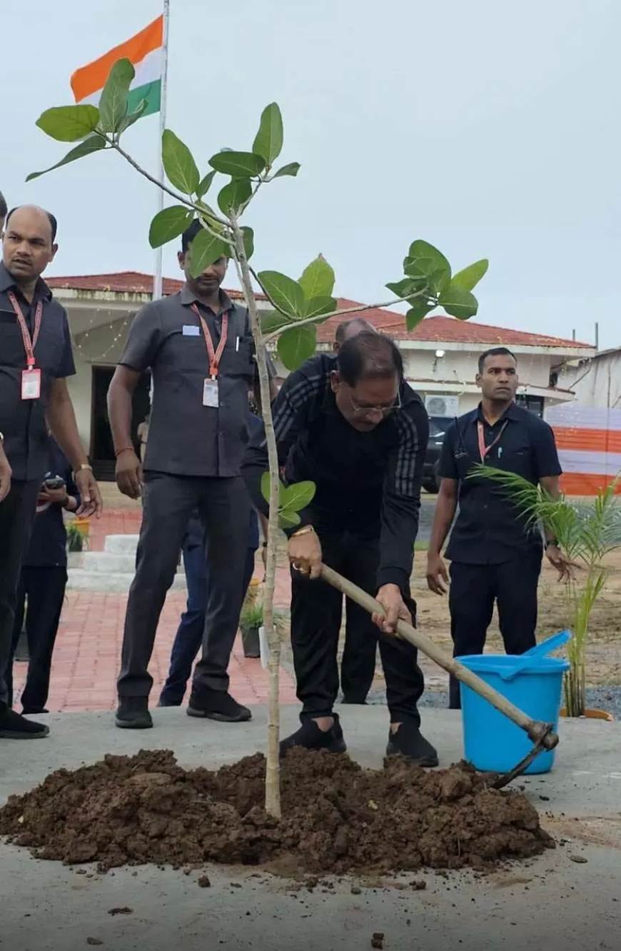 CM विष्णुदेव साय ने मैनपाट में लगाया बरगद का पौधा, बोले- "हरियाली है धरती का श्रृंगार"