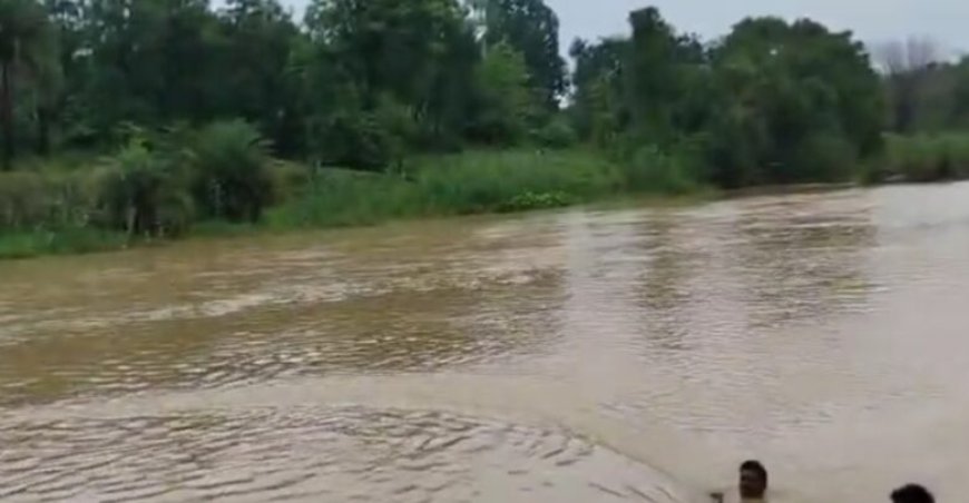 उफनती नदी पार कर 40 गांवों में बहाल की बिजली: भानुप्रतापपुर में विद्युत विभाग की टीम ने दिखाया साहस