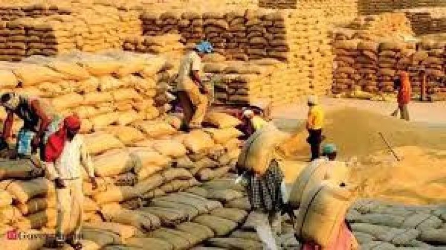 छत्तीसगढ़ को केंद्र से बड़ी सौगात: चावल उपार्जन लक्ष्य 70 से बढ़ाकर 78 लाख मीट्रिक टन