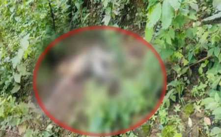 ब्रेकिंग : पूर्व विधायक के भाई की जंगल में मिली सड़ी-गली लाश, जताई जा रही ये आशंका, जांच में जुटी पुलिस…