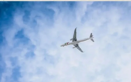 छत से टकराए और फिर जमीन पर गिर पड़े…अंतर्राष्ट्रीय विमान में तेज़ टर्बुलेंस से हवा में भयंकर झटका, मचा हड़कंप