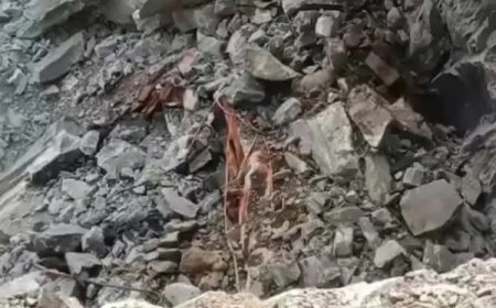 आंध्र प्रदेश के बापटला में बड़ा हादसा : ग्रेनाइट चट्टान खदान मजदूरों पर गिरी, 6 श्रमिकों की मौत,3 घायल