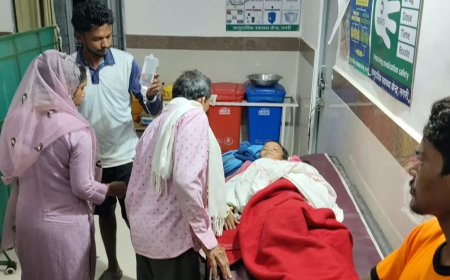 धमतरी में 9 साल की बच्ची पर आवारा कुत्तों का हमला, लगे 25 टांके...ग्रामीणों ने प्रशासन से सख्त कार्रवाई की मांग