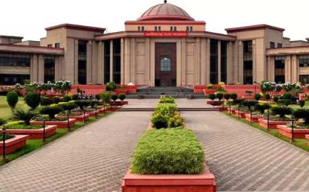 विधवा बहू को भरण-पोषण का अधिकार, ससुर को देना होगा जिम्मेदारी: छत्तीसगढ़ हाई कोर्ट