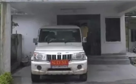 जांजगीर-चांपा में 142 पटवारियों पर गिरी गाज, लापरवाही पर कारण बताओ नोटिस जारी