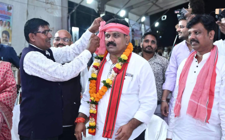 दुर्ग में पोला महोत्सव: उपमुख्यमंत्री विजय शर्मा ने किसानों संग मनाया पारंपरिक उत्सव