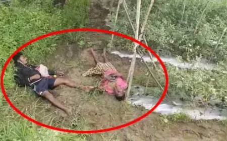 कवर्धा में दर्दनाक हादसा: हाईटेंशन तार की चपेट में आने से पिता-पुत्र की मौत