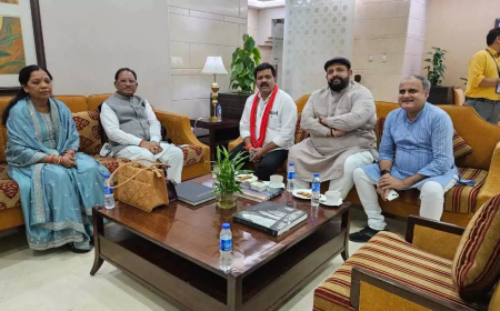 सीएम विष्णुदेव साय विदेश दौरा समाप्त कर स्वदेश लौटे