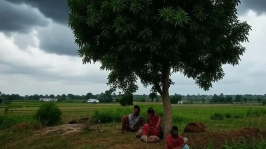 छत्तीसगढ़ में मानसून का सिस्टम हुआ कमजोर, अगले कुछ दिनों में कम होगी बारिश, हल्की बारिश की संभावना